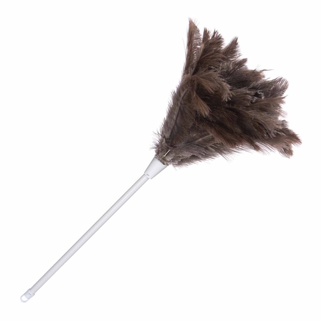 » Ostrich Feather Duster